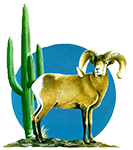 Arizona Desert Bighorn Society