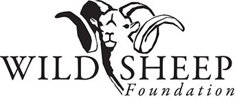 Wild Sheep Foundation